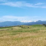Campanella Aléria